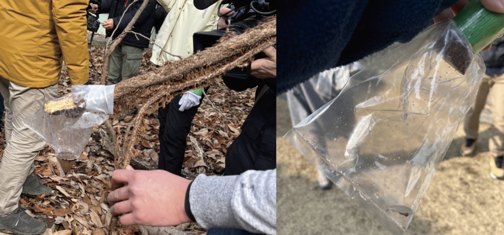 ツタの樹液から作られる甘葛シロップ／©京冰菓 あてなるもの