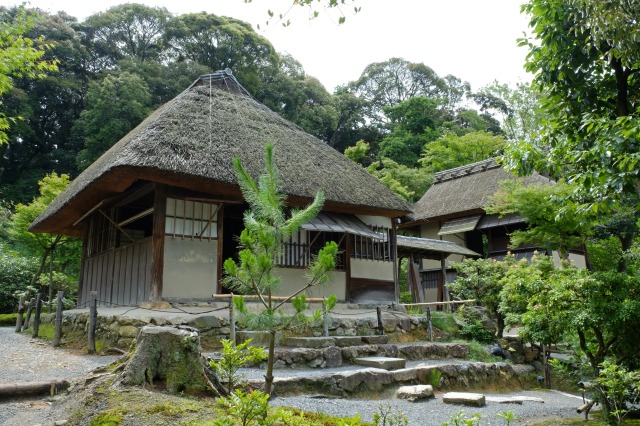写真提供：高台寺