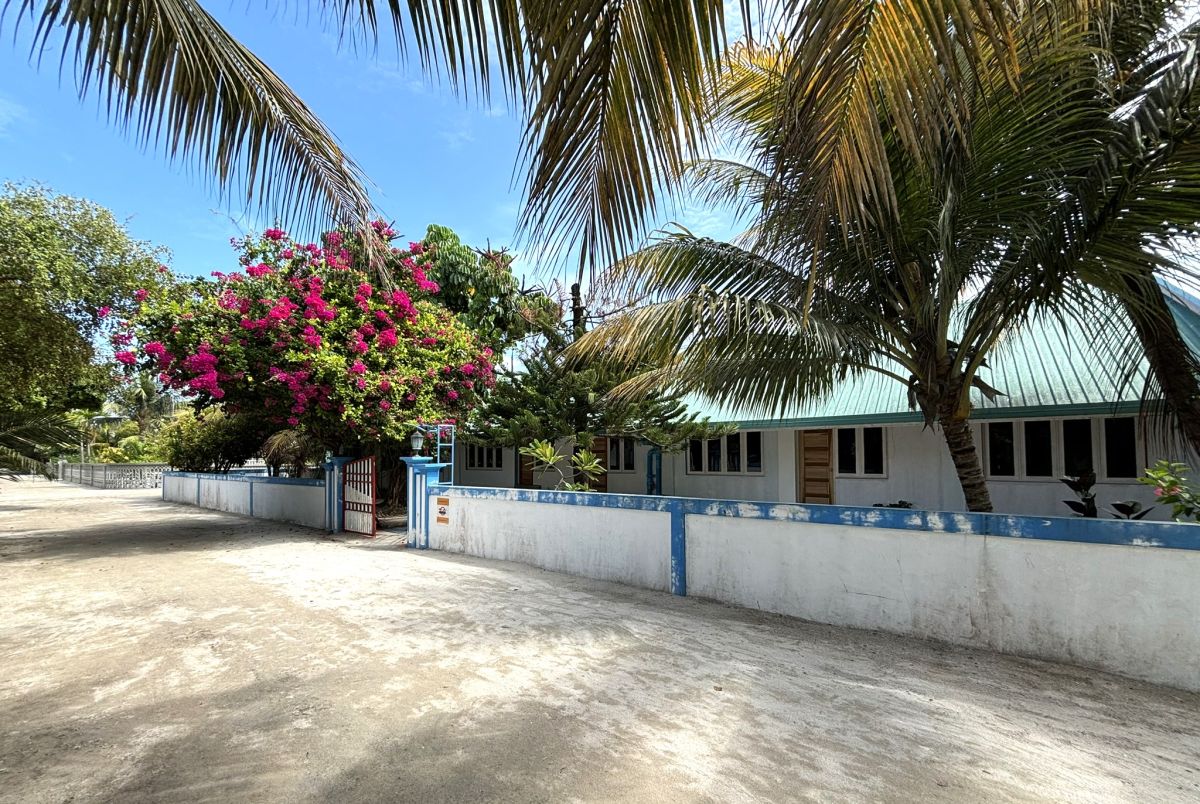 ブーゲンビリアが咲き誇るカマドゥ島の小学校