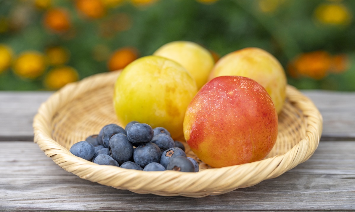 「道の駅 果樹公園あしがくぼ」清流と里山の味覚が楽しめる｜埼玉・秩父