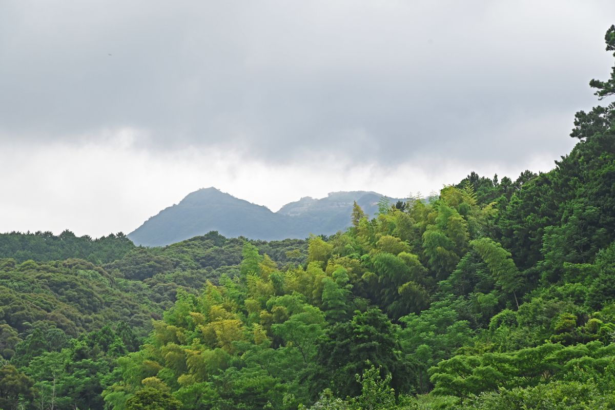 日本最大規模の珪石の採掘場所だった棚場山(右)