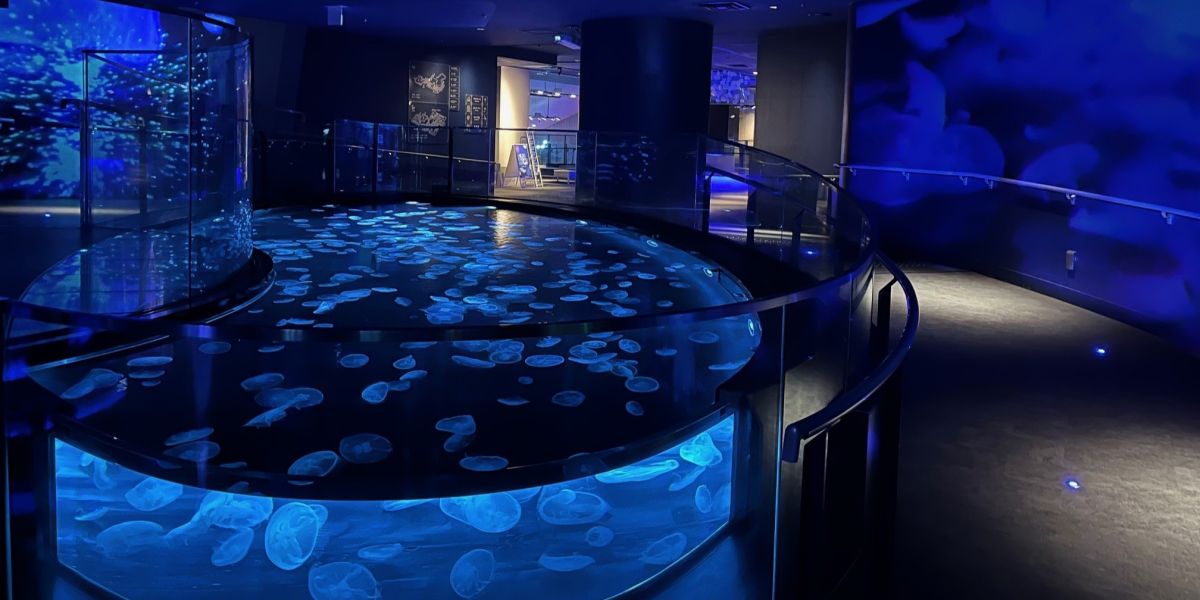 すみだ水族館の2024年夏イベントでCOOLな夏を満喫！【#編集部のおでかけキロク】