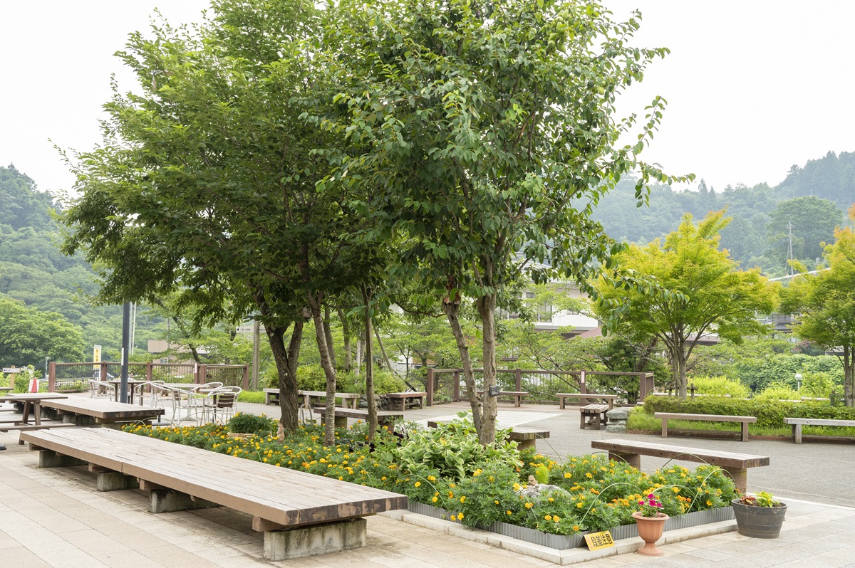 手入れの行き届いた中庭。ウッドデッキやあずまやもあり居心地がいい