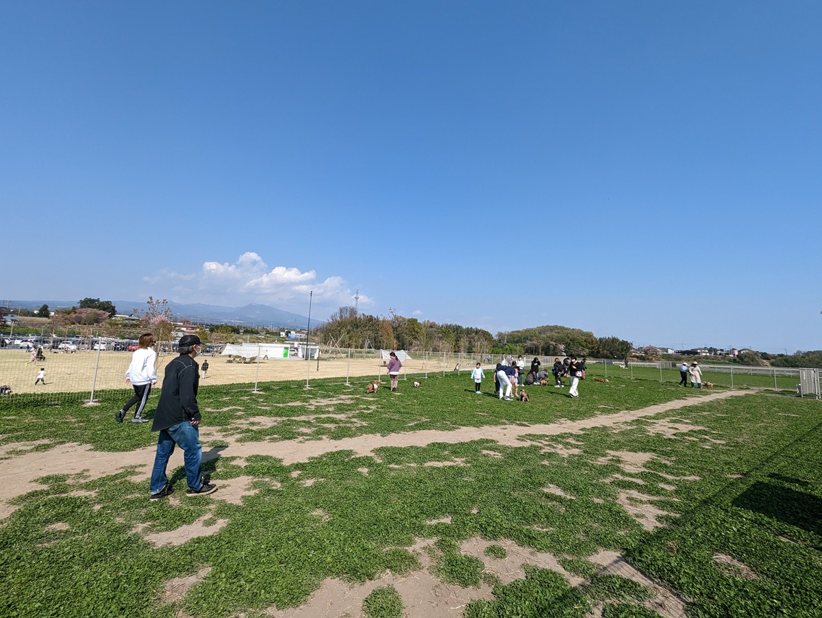 赤城山を見晴らす広いドッグランを激走