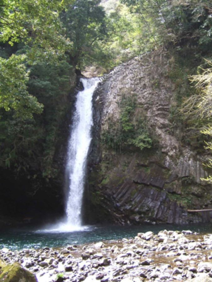 伊豆市観光協会 天城支部