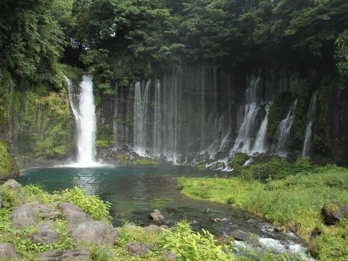 富士宮市観光協会
