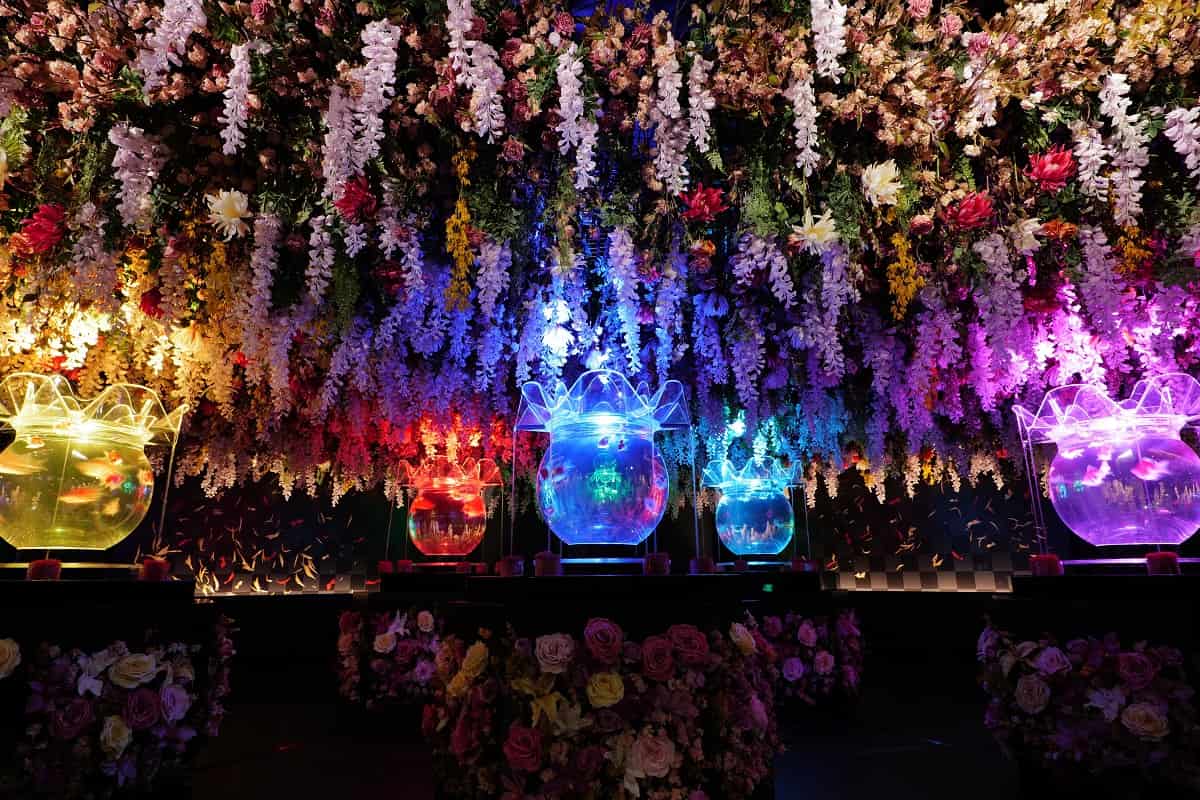 特別企画「夏のアートアクアリウム2024 華映え金魚祭」」／(C)アートアクアリウム美術館