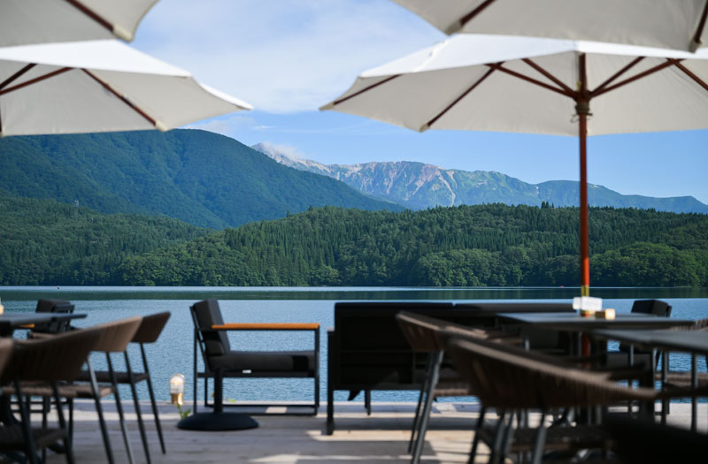 テラス席はペット同伴も可能