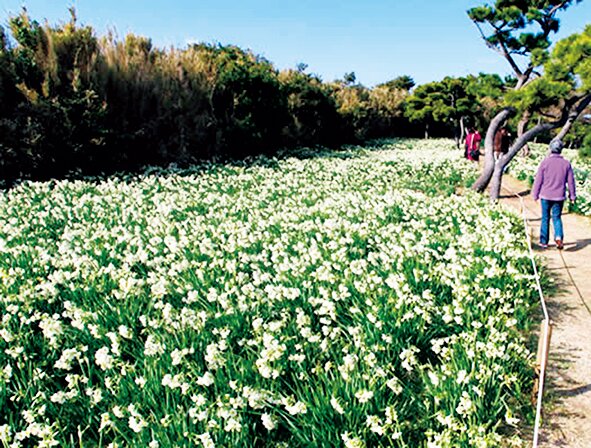 県立城ケ島公園