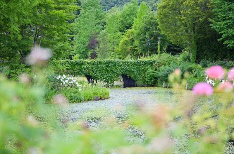 バラだけでなく、可憐な野の花もとても愛らしい。蔦の絡まるめがね橋も絵になります