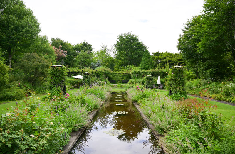 湖に浮かぶウッドランドにあるエリア