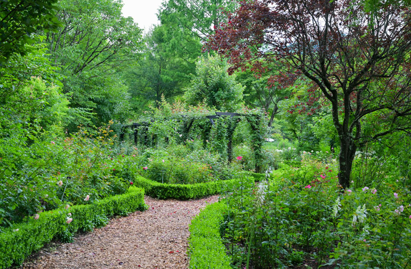 ローズシーズンには豊かな香りが漂うエリア