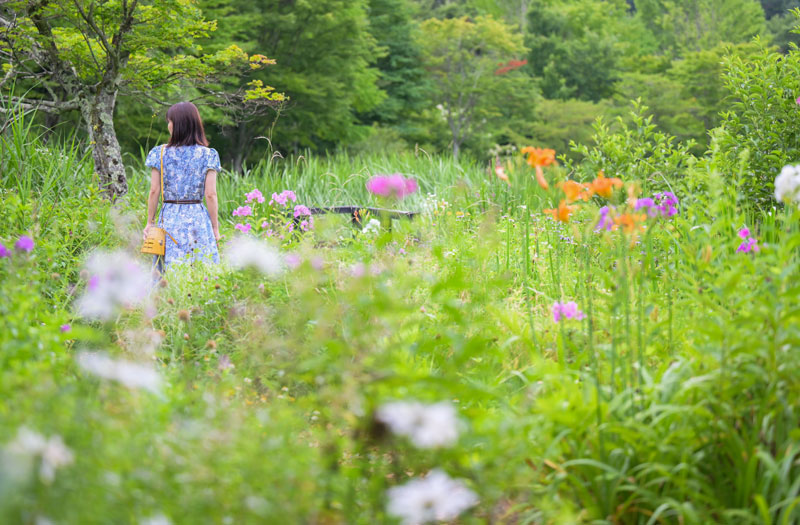 おとぎ話の世界に迷い込んだみたい