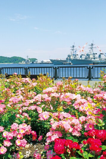 ヴェルニー公園