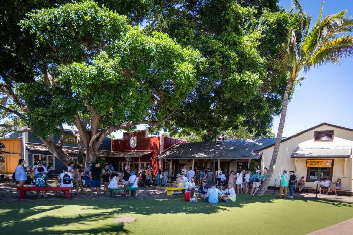 ハレイワ・ストア・ロッツ