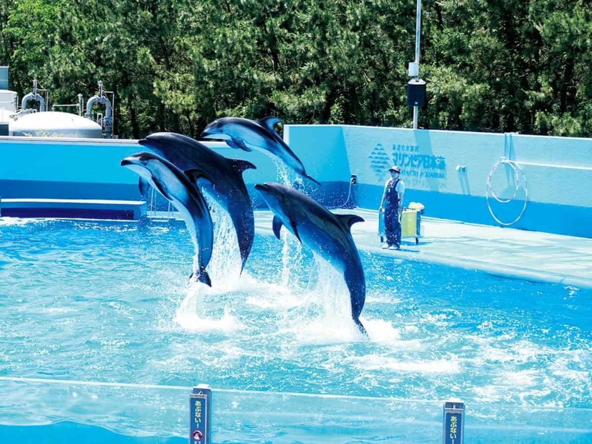 新潟市水族館マリンピア日本海