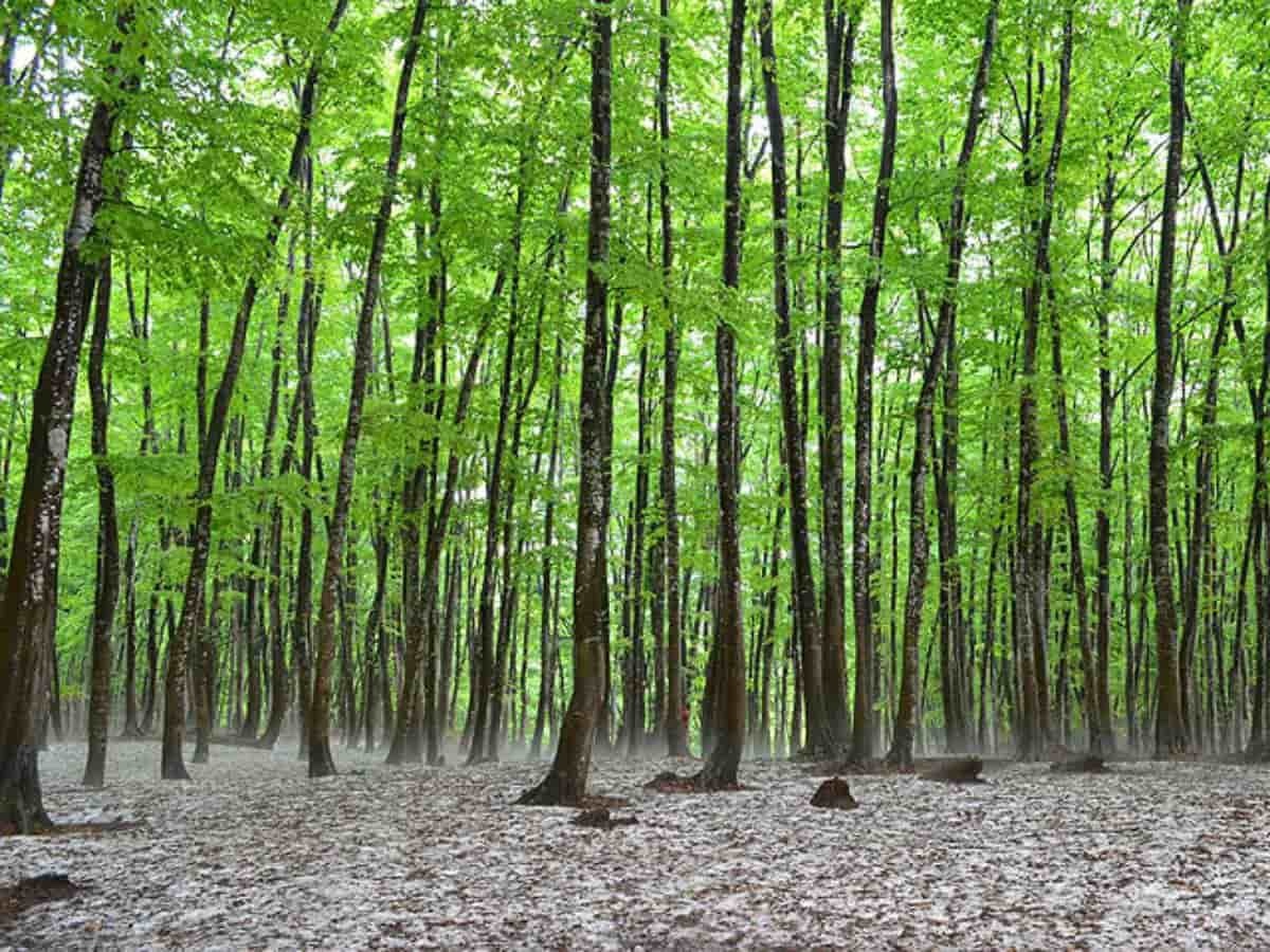 （一社）十日町市観光協会