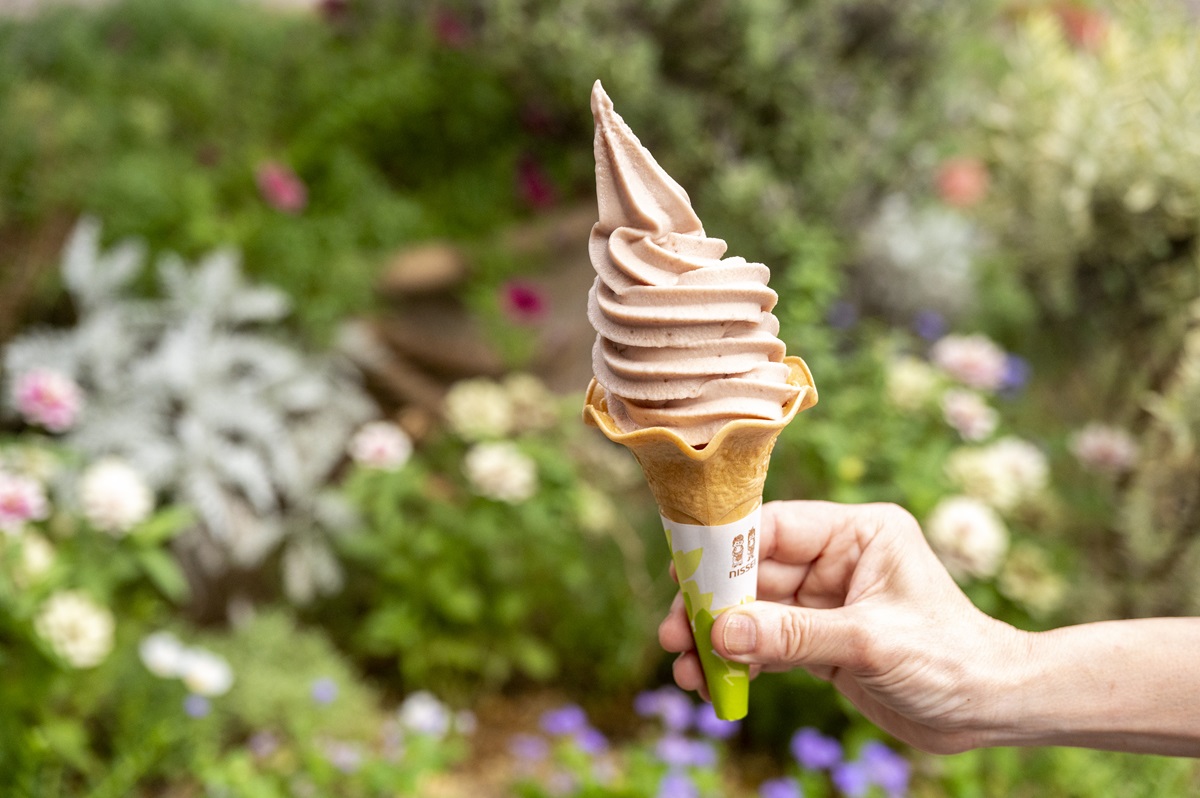 「藤岡市産やよいひめ苺ソフト」450円