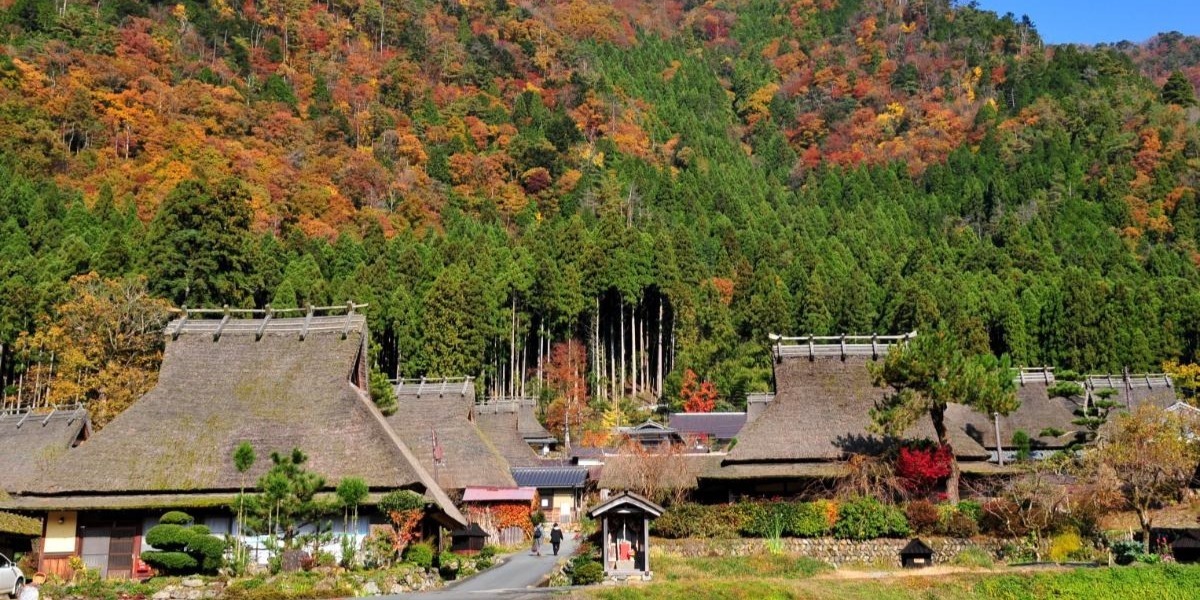 山が朱色に染まる里山の古民家で、ボタン鍋や松茸などの旬の味覚を堪能しよう 【料理旅館きぐすりや（京都府 南丹市 美山町）】