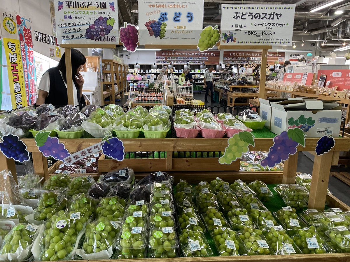 美しく実った季節の果物が並ぶ