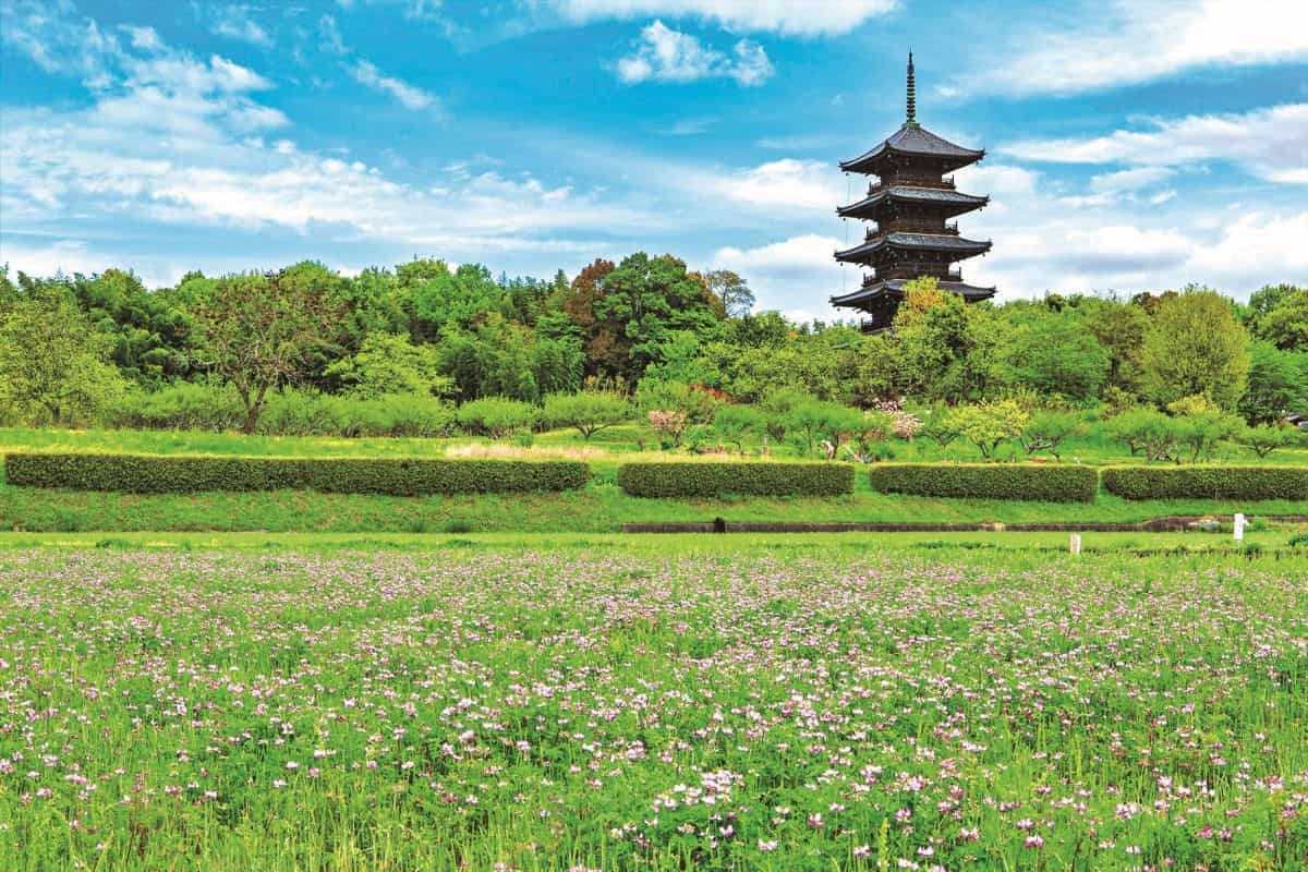 吉備路のシンボル「備中国分寺」の五重塔