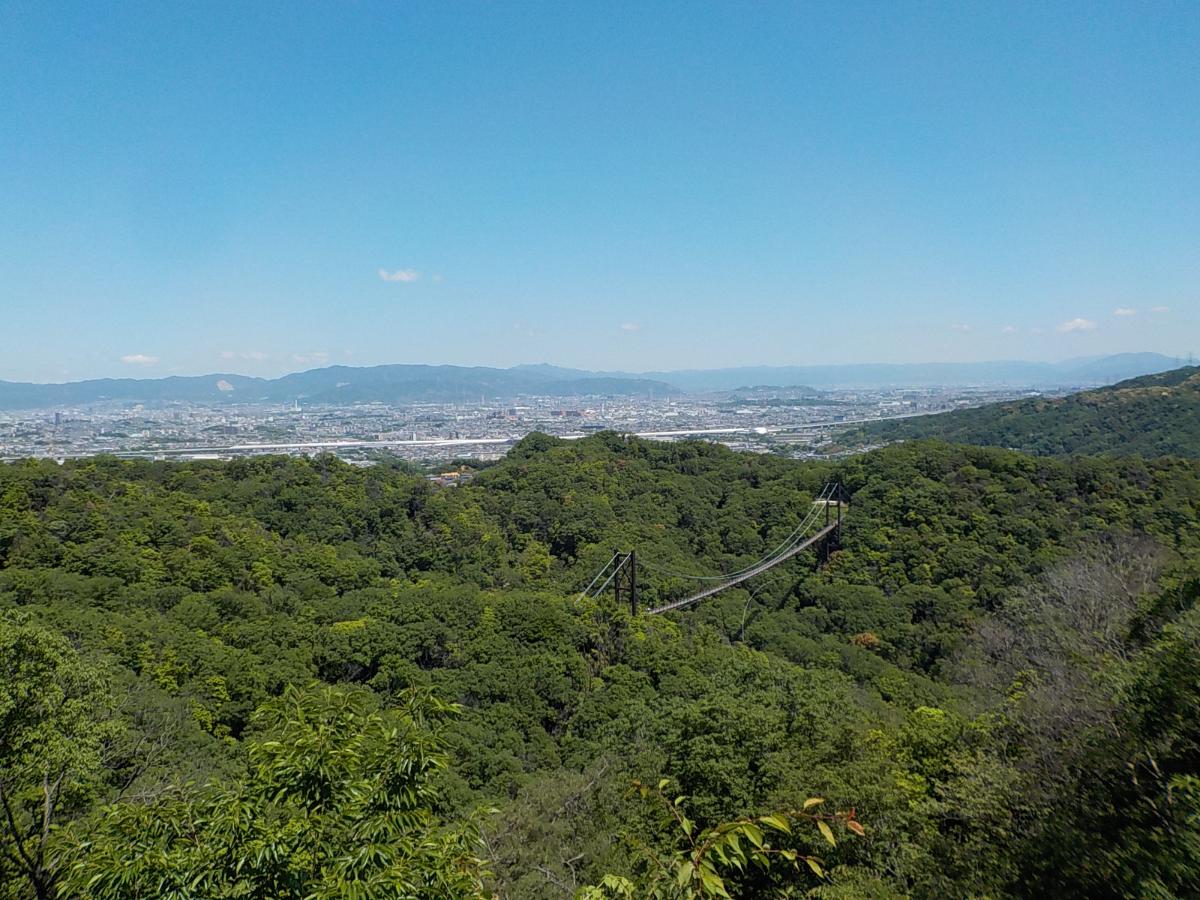 展望台からの春の吊り橋