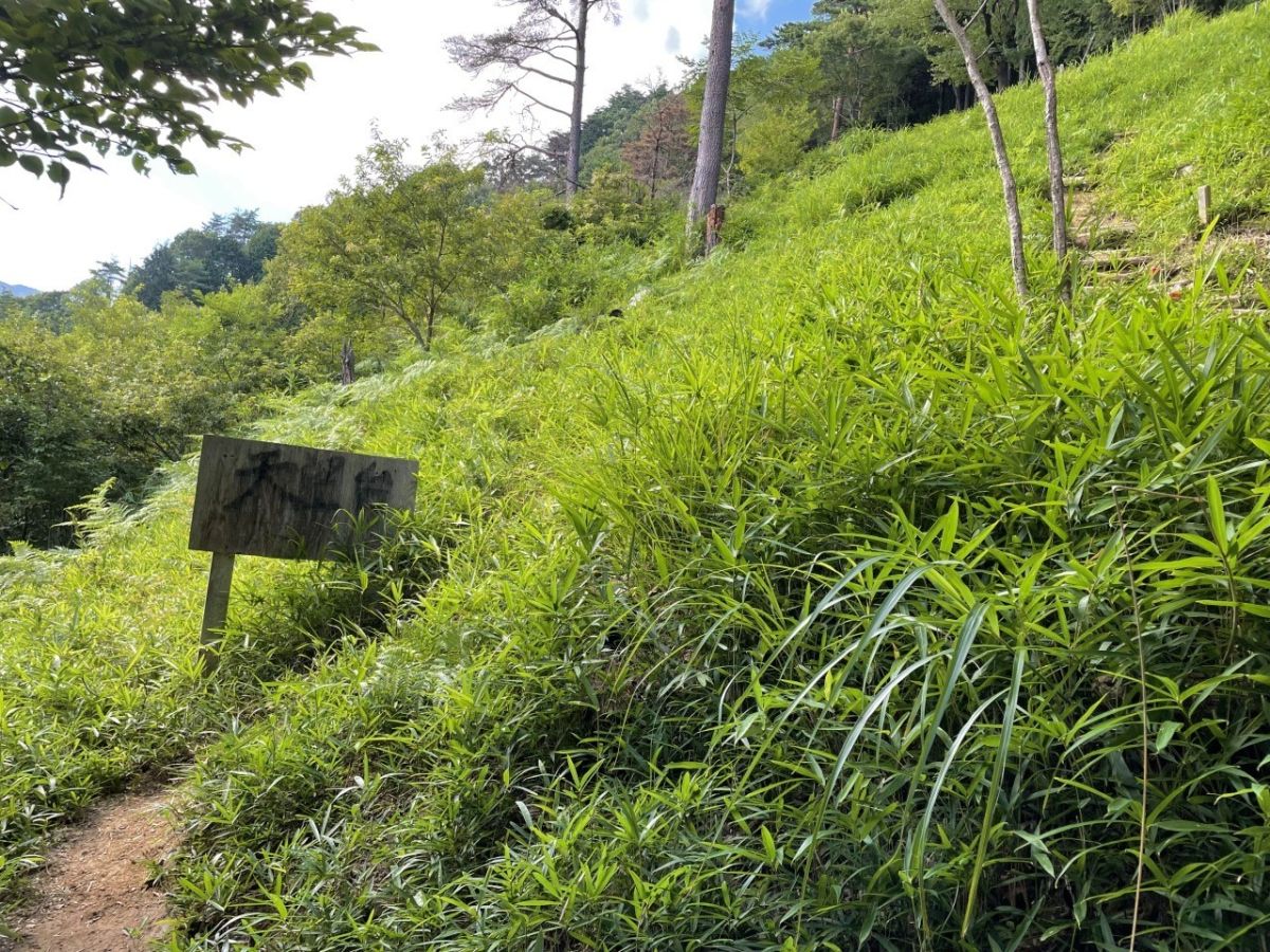 岐阜のマチュピチュ 天空の茶畑