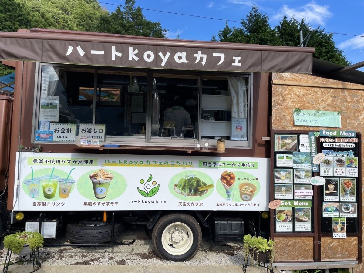 岐阜のマチュピチュ 天空の茶畑