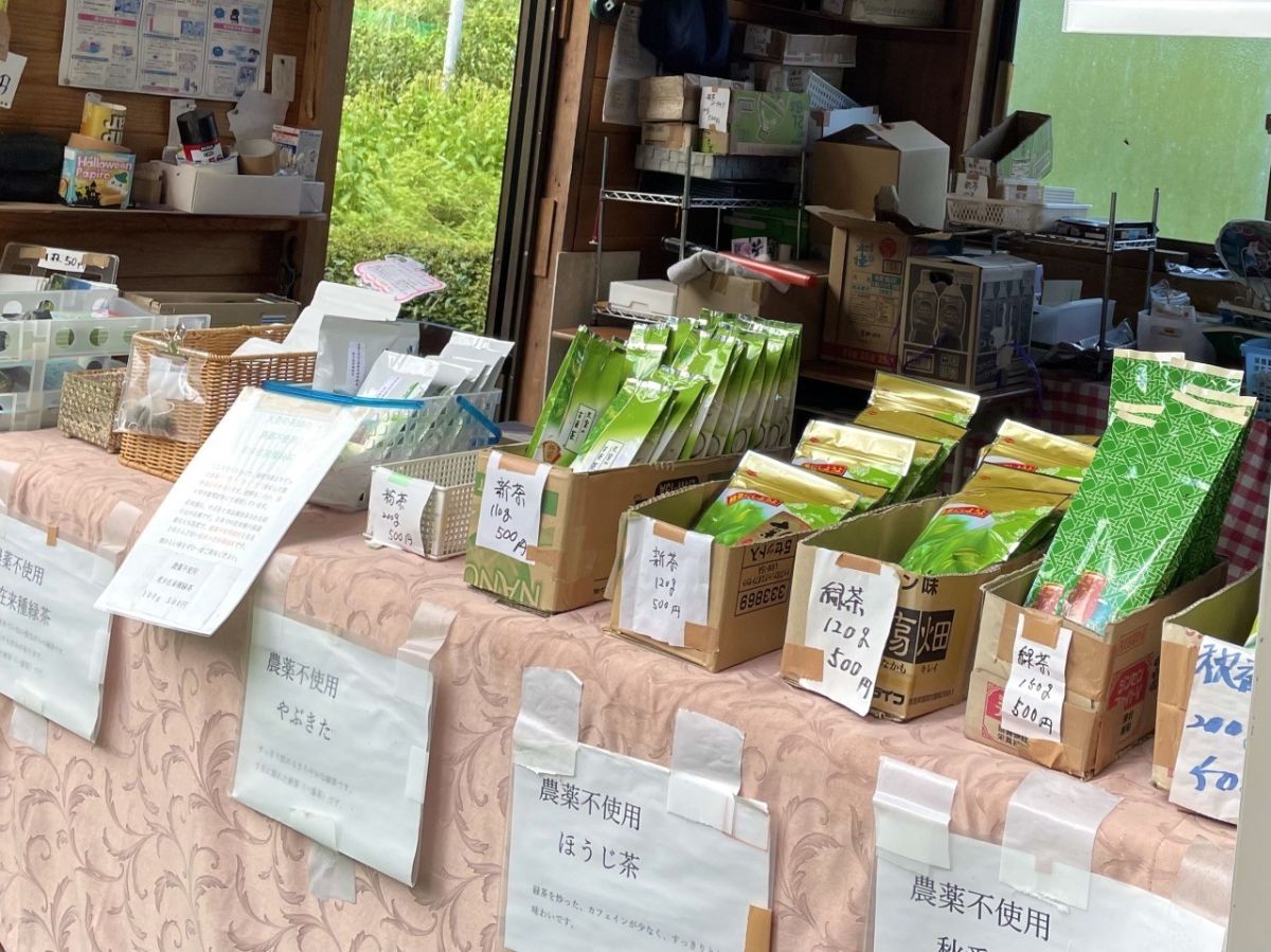 岐阜のマチュピチュ 天空の茶畑