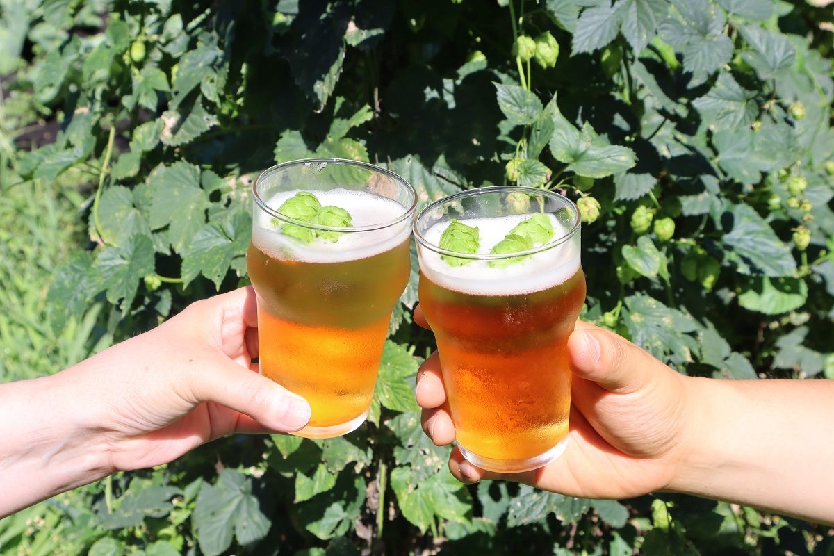 ホップ入り フレッシュホップエール