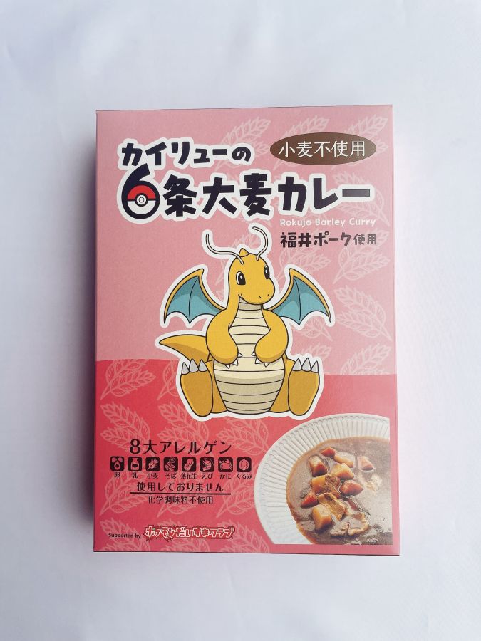 カイリュー　カレー