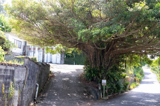 駐車場から2分ほど歩き、坂の上の階段を上ったところに店舗