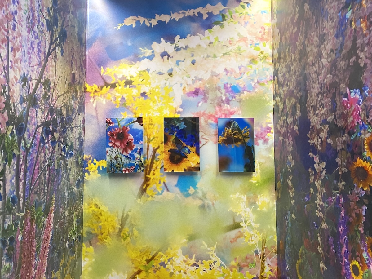 女性トイレの内装