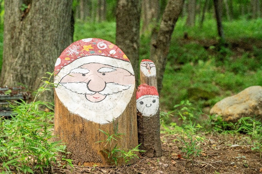 北欧に伝わる妖精トントゥ