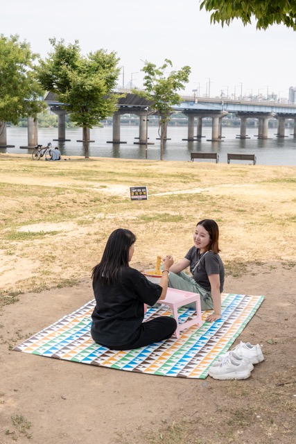 景色を眺めながら話も盛り上がりそう