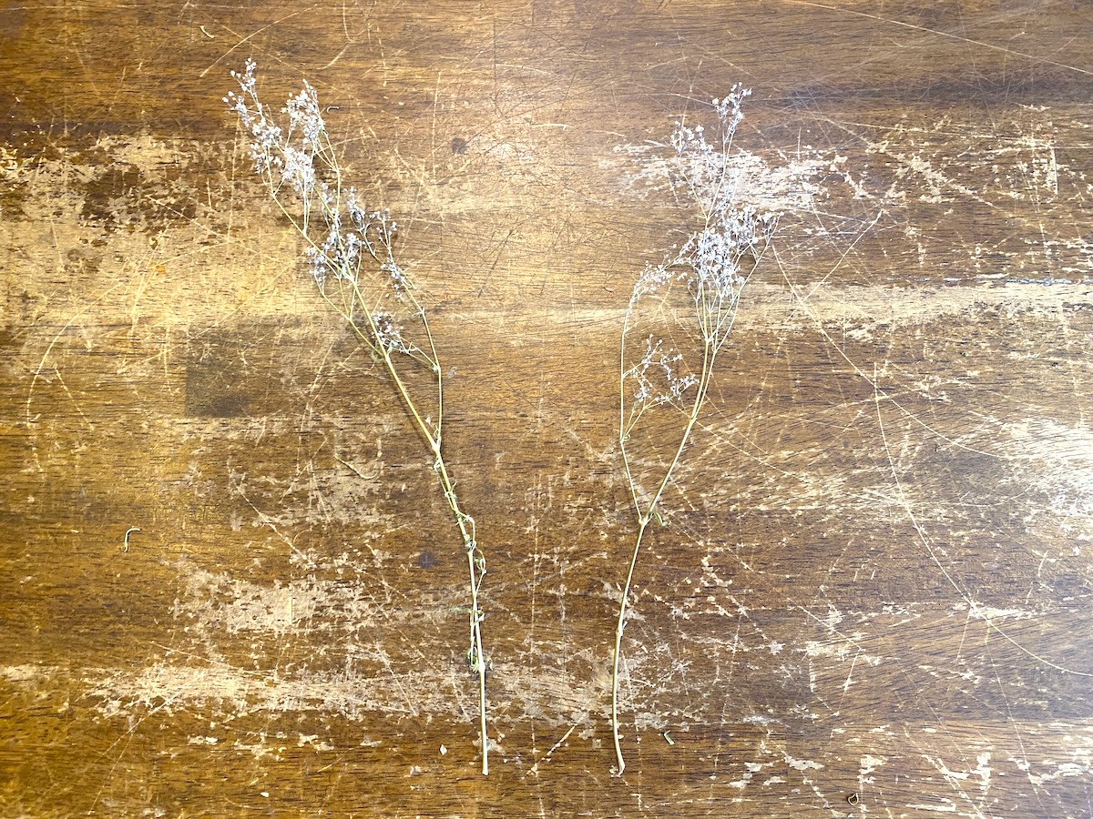 写真左から左曲がり、右曲がり