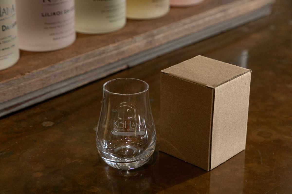 参加者プレゼント