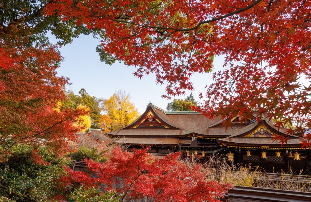 御土居のもみじ苑から御本殿を望む（提供：北野天満宮）
