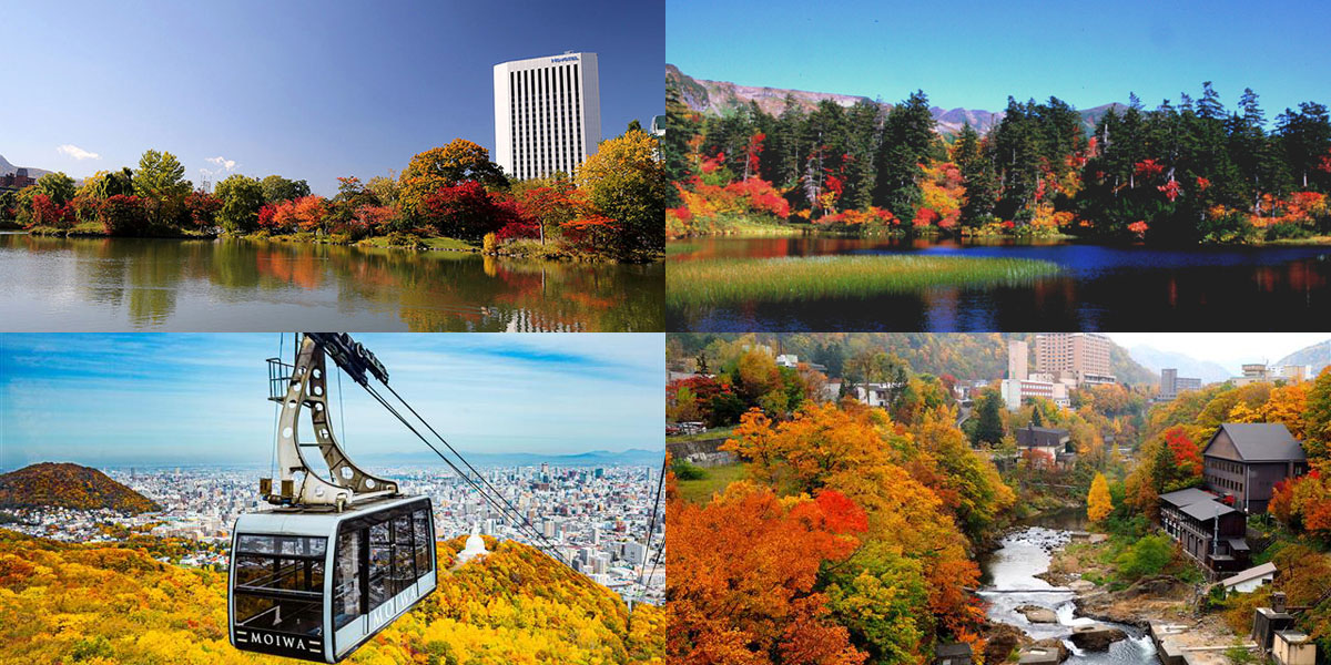 北海道のフォトジェニックな紅葉名所~おすすめランキング2025~