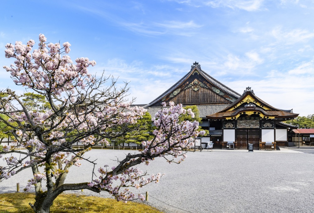 二の丸御殿と御所御車返し（提供：元離宮二条城）