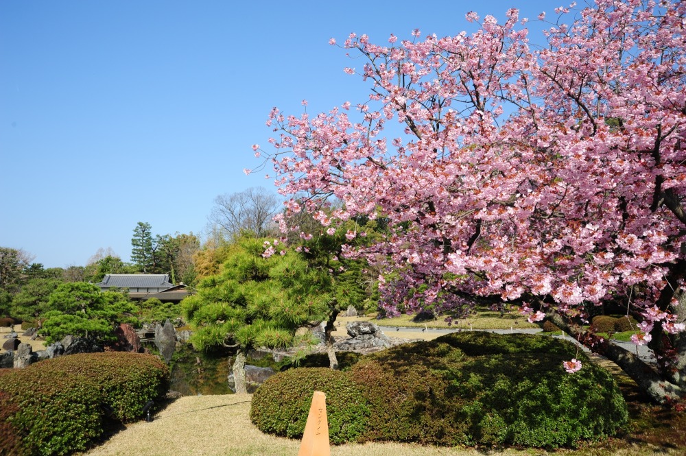 画像提供：元離宮二条城