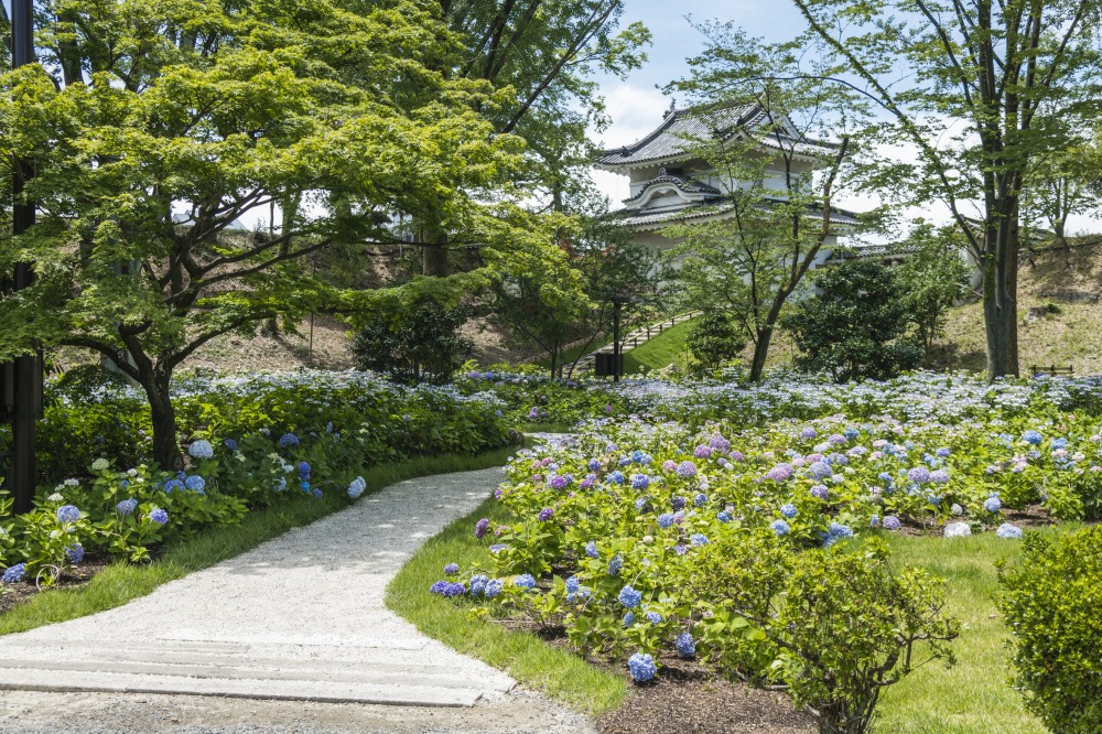 画像提供：元離宮二条城