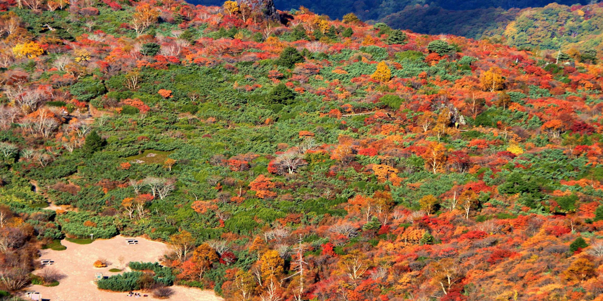 栃木県でおすすめの紅葉名所～見頃などの2025年情報～