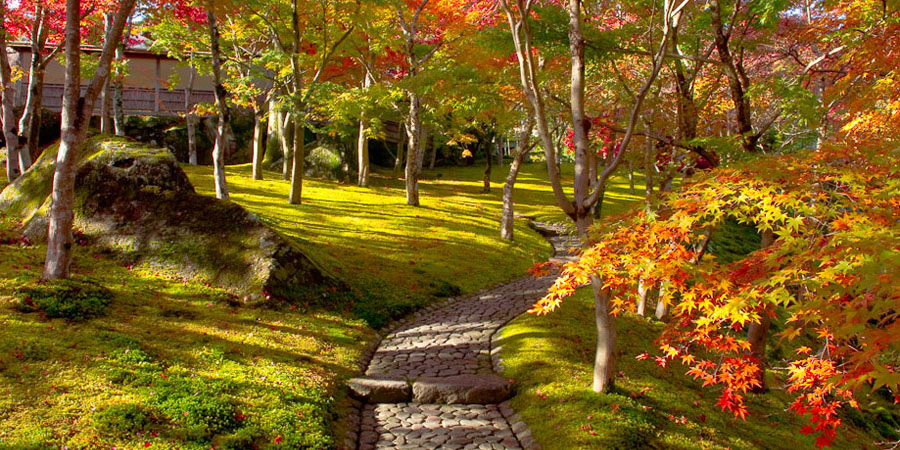 箱根（神奈川県）のおすすめ紅葉名所2025～強羅～仙石原～芦ノ湖など～