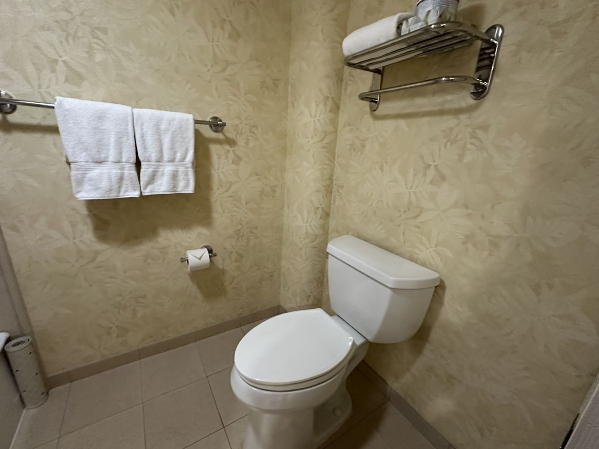 ウォシュレットは付いていませんが、広々として清潔感あるトイレ