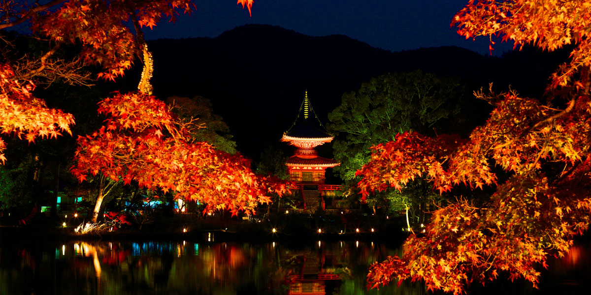 京都で紅葉ライトアップや夜間特別拝観がおすすめの名所2025
