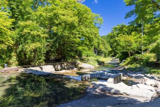 橋の下には、川遊びができる浅瀬があります