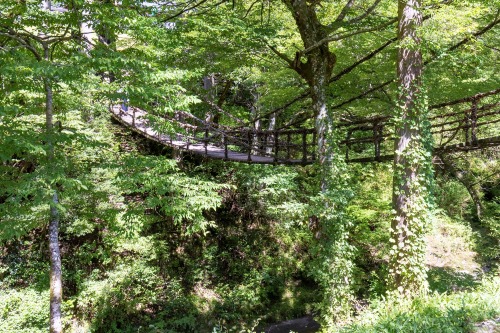 橋の渡り口には、吊り橋を支える大きな柱があり、迫力満点の風景にワクワクします