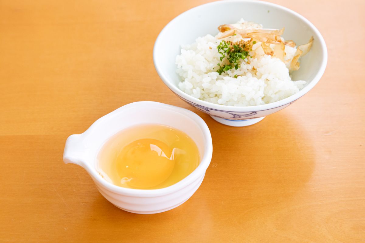 休暇村越前三国