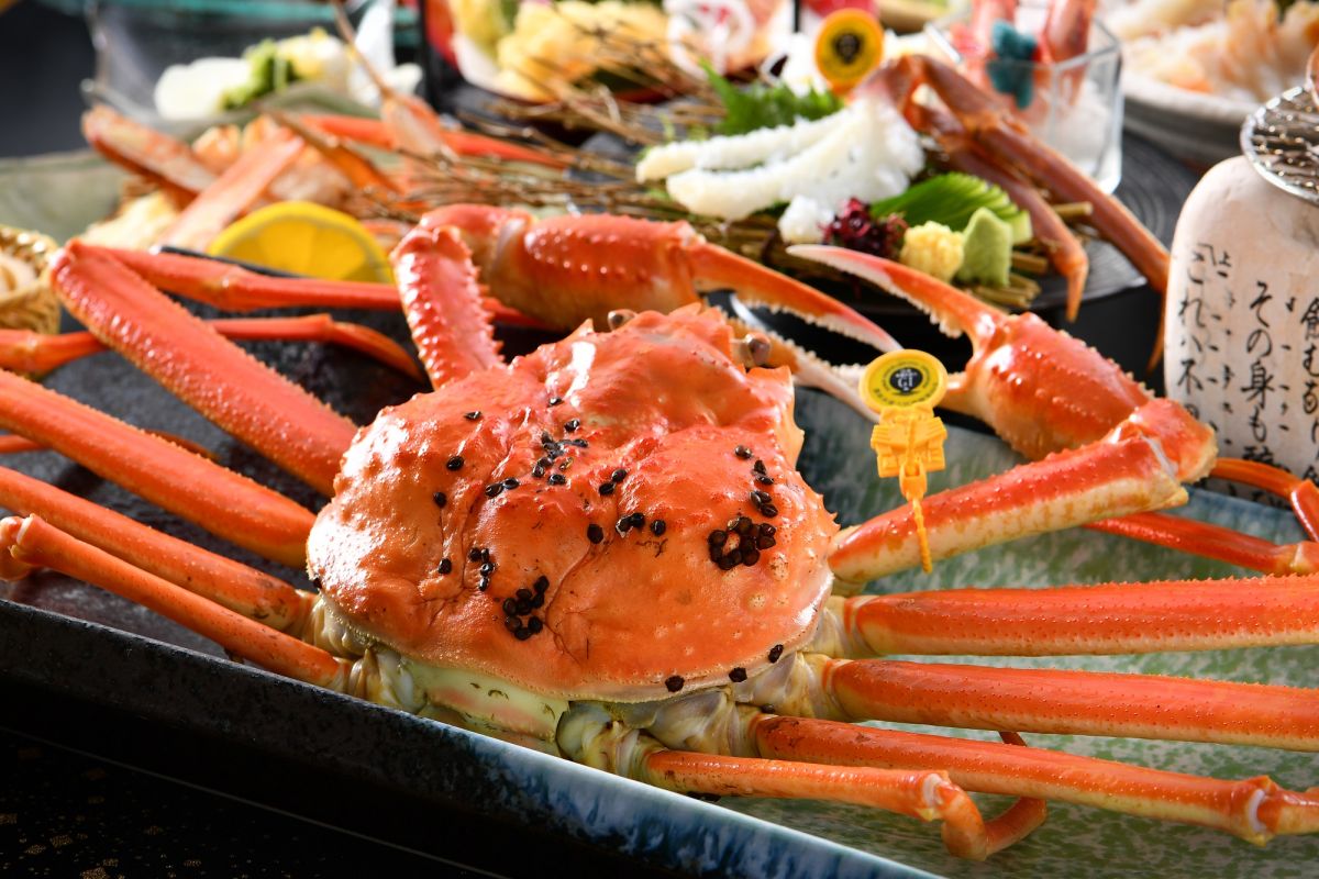 休暇村越前三国